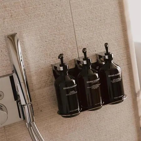 מלון Maison Heler Metz, Curio Collection By Hilton 4*